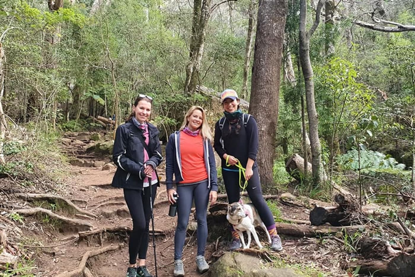 About HikingWithLee