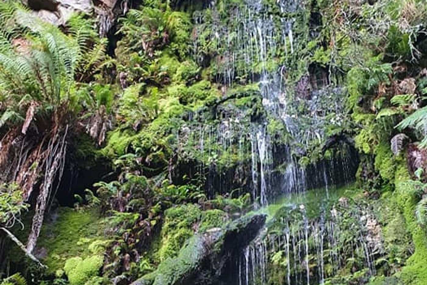 boesmanskloof views