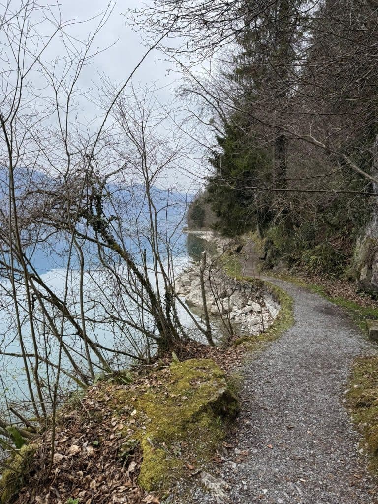Forest lakeside path on the Iseltwald day walk