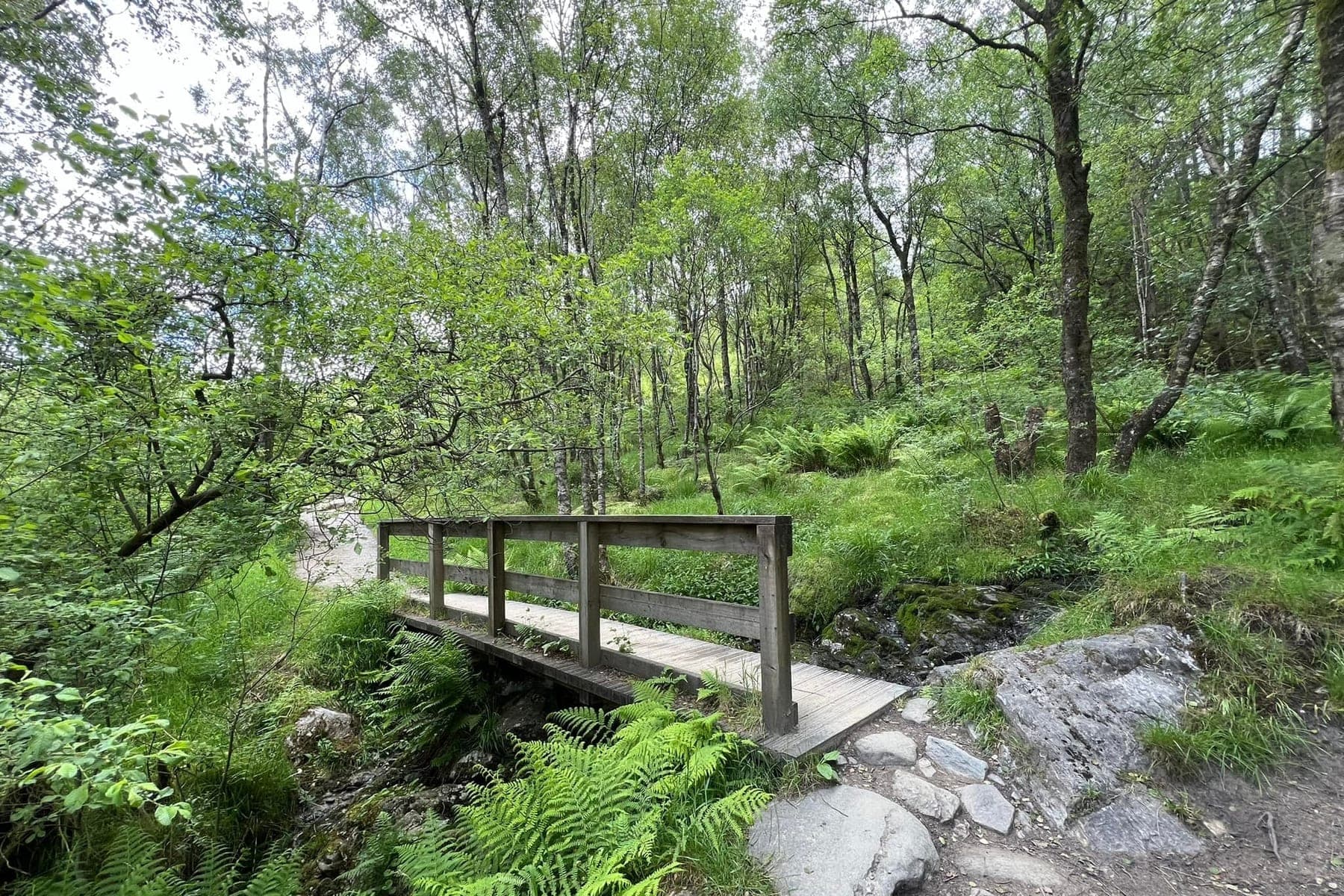ben lomond