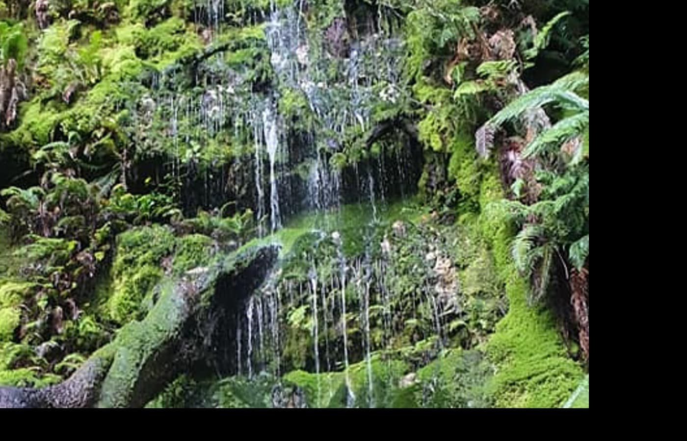 Boesmanskloof Greyton trail budget scenery