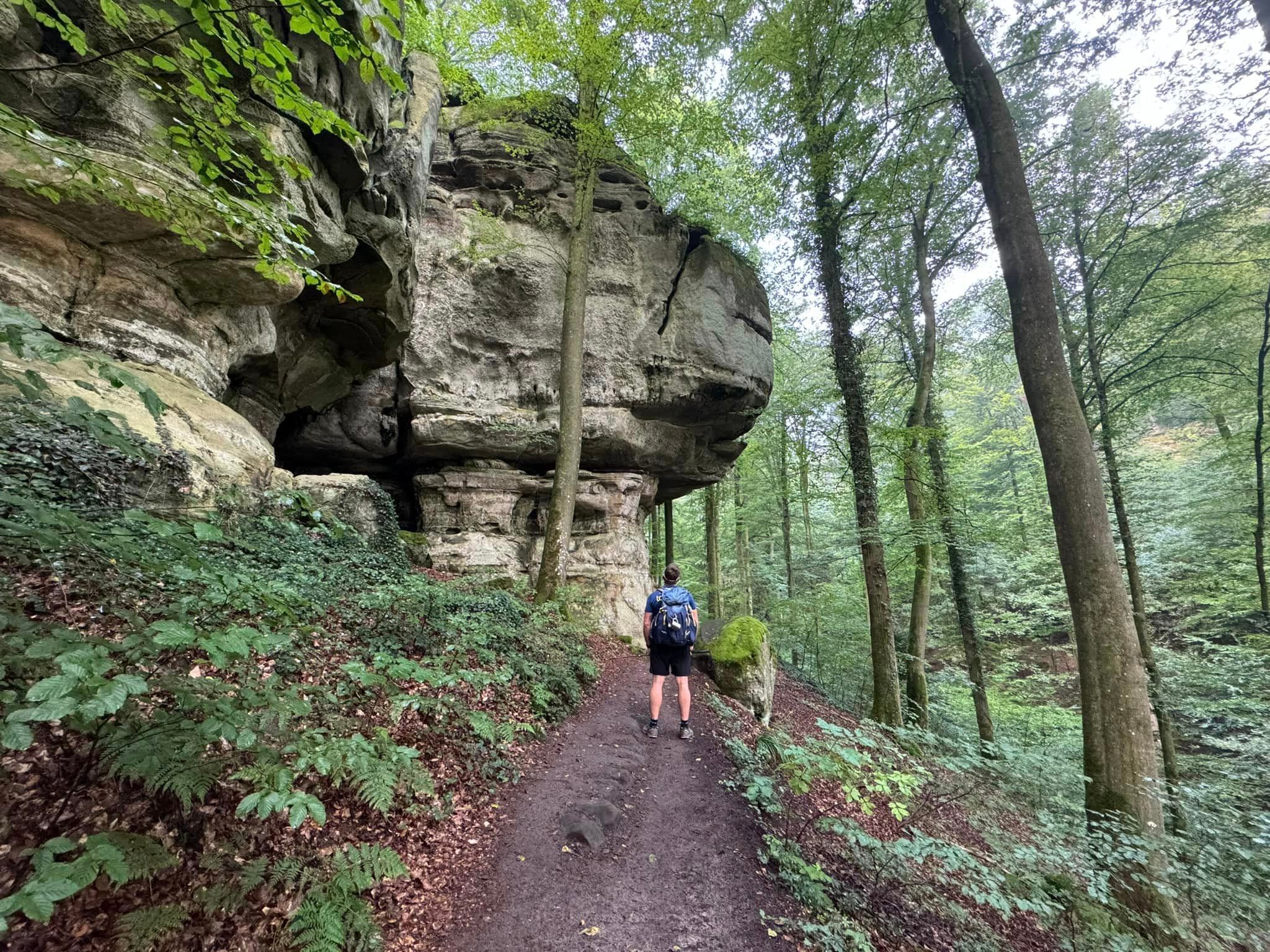 Mullerthal Trail day hike scenery