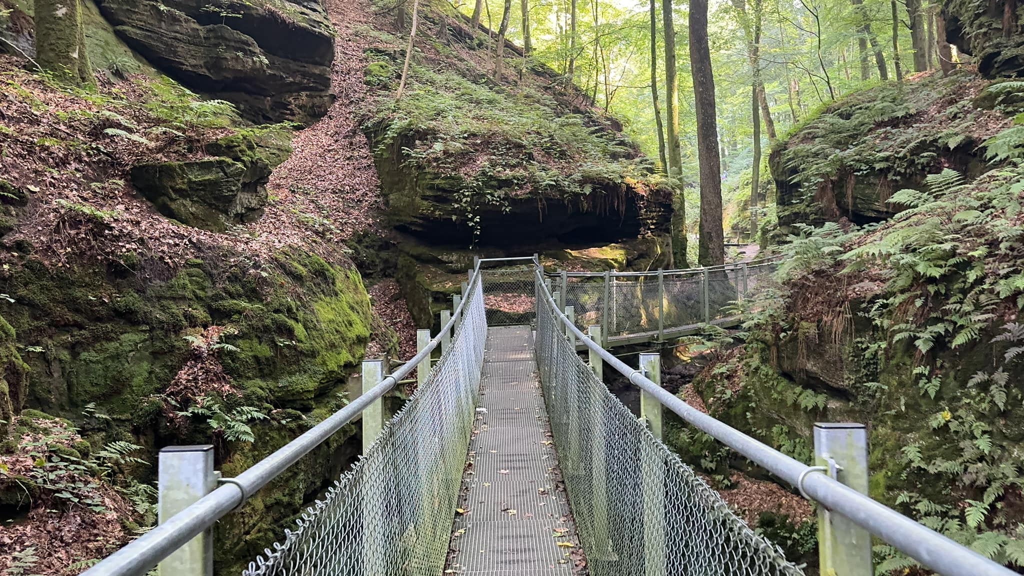 Suspension bridge on Mullerthal Trail
