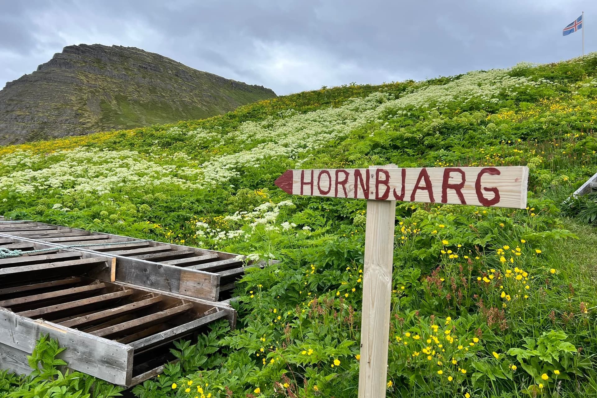 hornstrandir 2