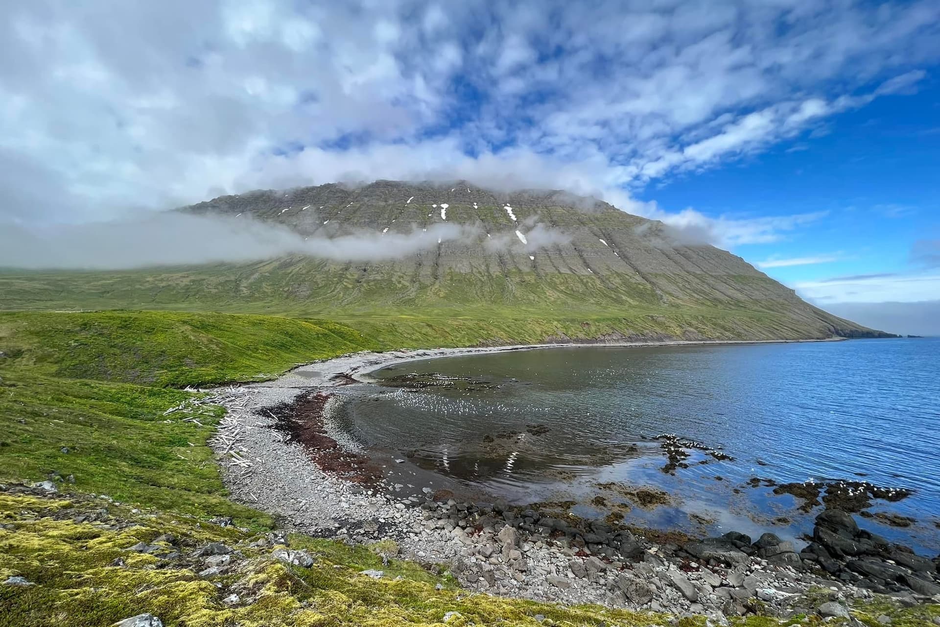 hornstrandir day 5 h