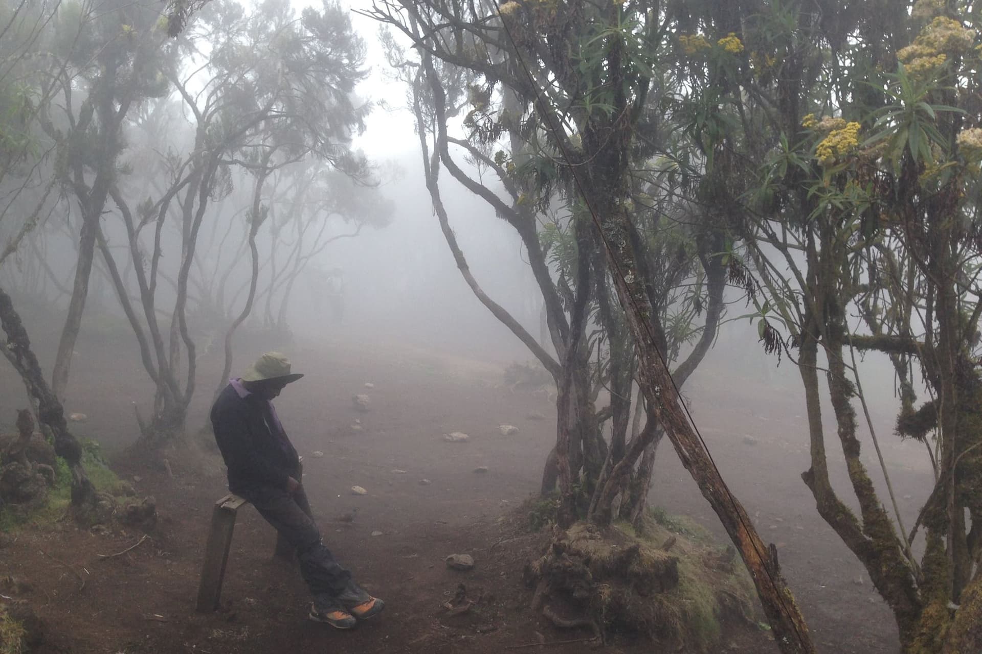 kilimanjaro 18