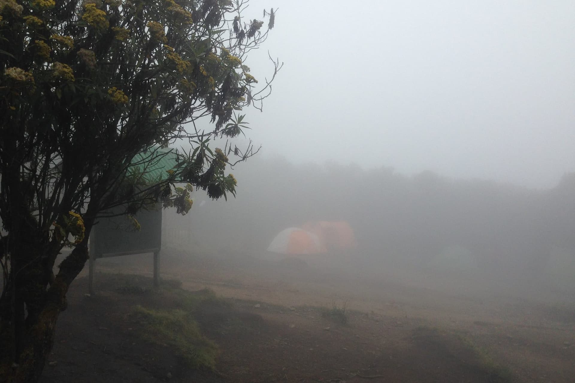 Tents at a foggy Kilimanjaro high camp