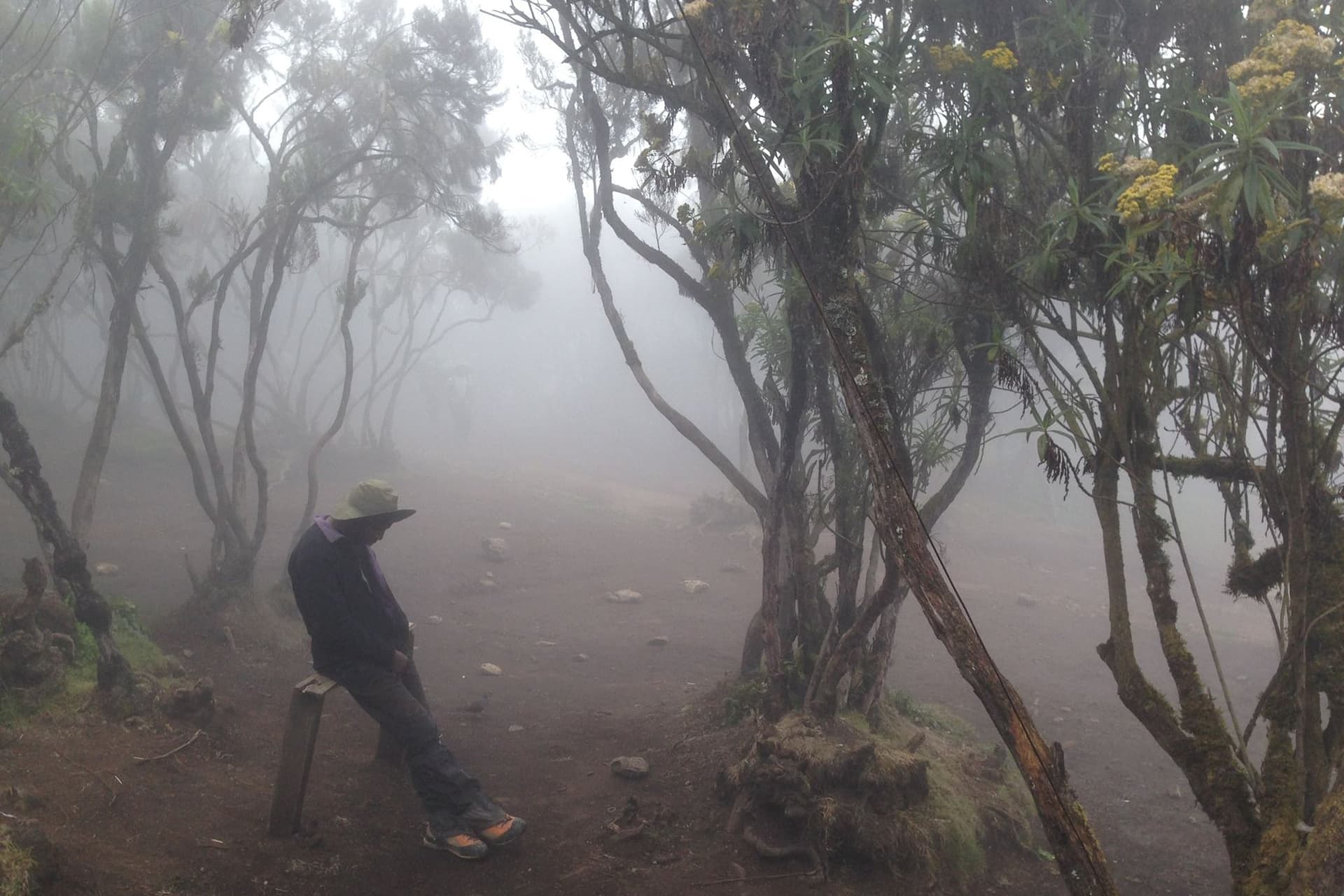 Rest stop in Kilimanjaro cloud forest