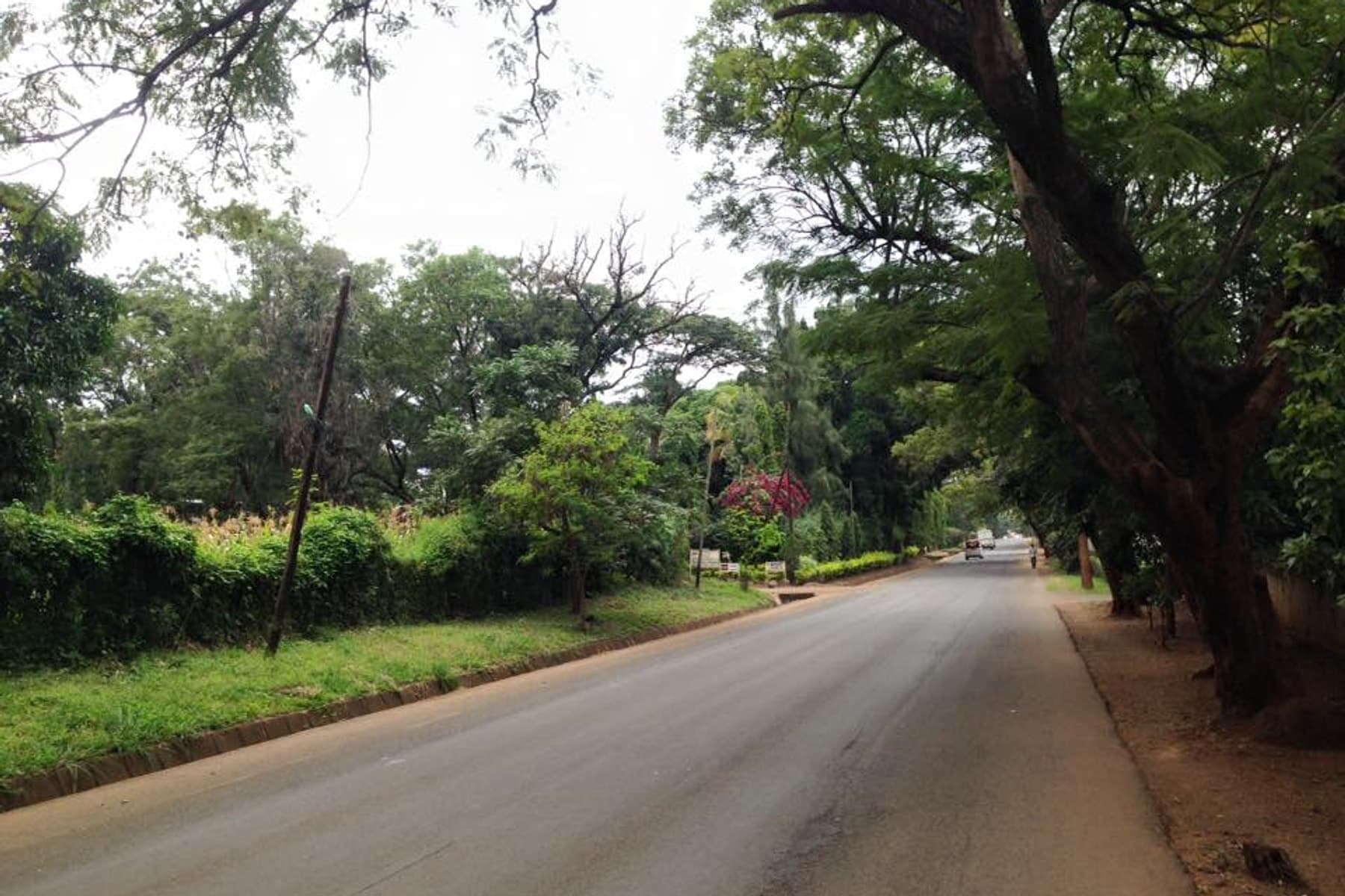 Road approach toward the Kilimanjaro trailhead near Moshi