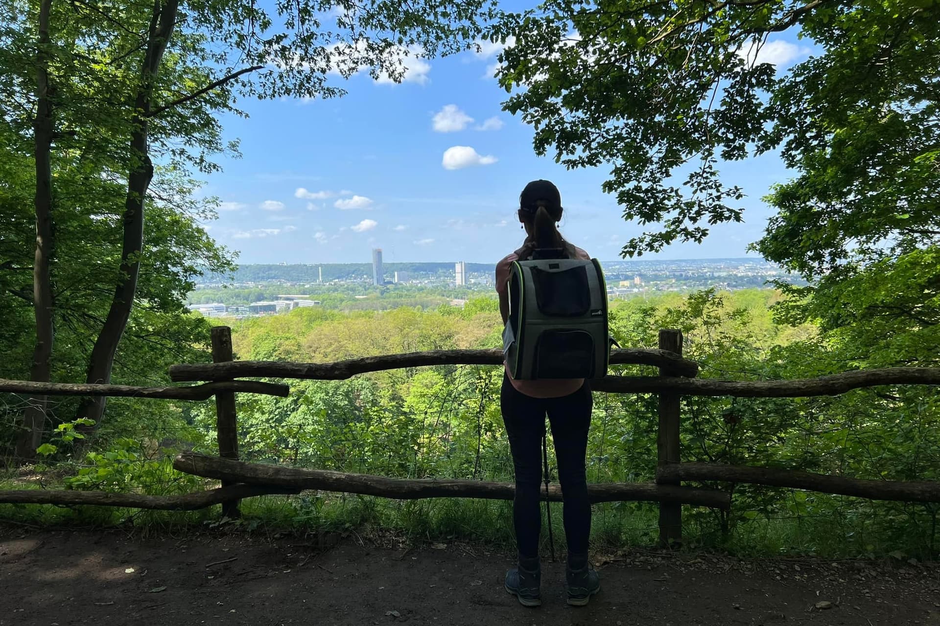 rheinsteig part 2 o