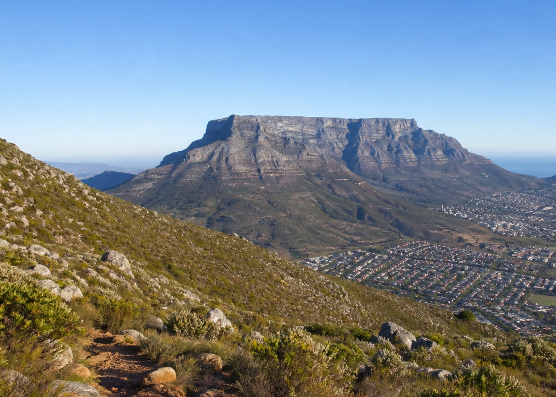 Rocky fynbos trail on the Newlands Circular Ravine loop, Table Mountain