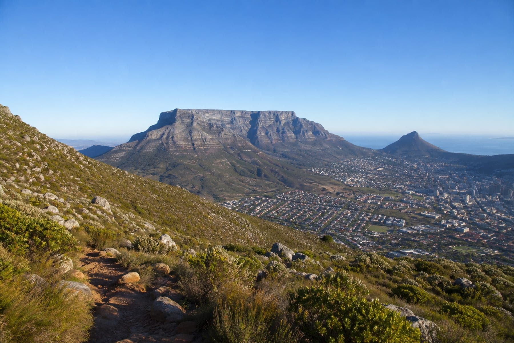 Coastal fynbos trail with Table Mountain and the Atlantic, Cape Town