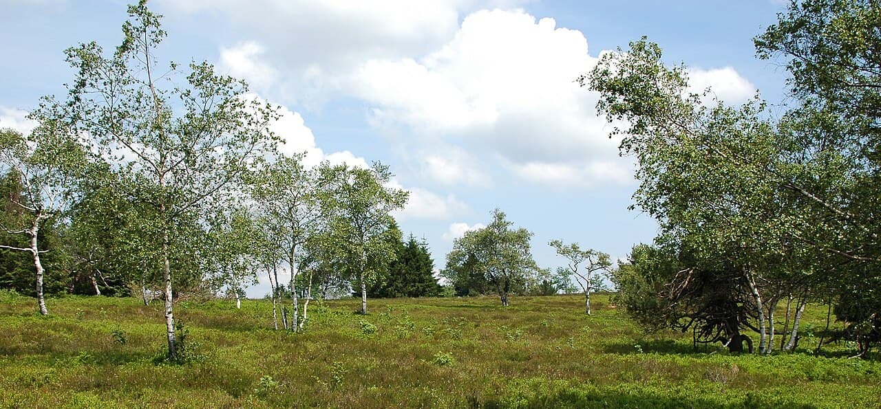 Wide heathland views for a Kahler Asten day plan