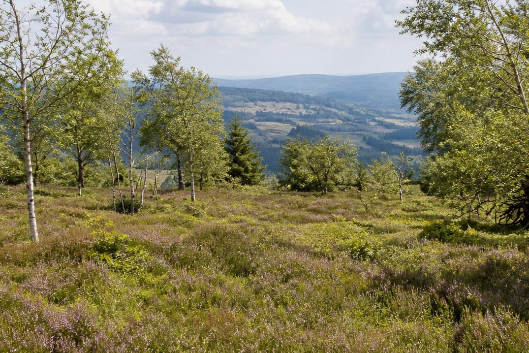 Winterberg and Kahler Asten overnight base