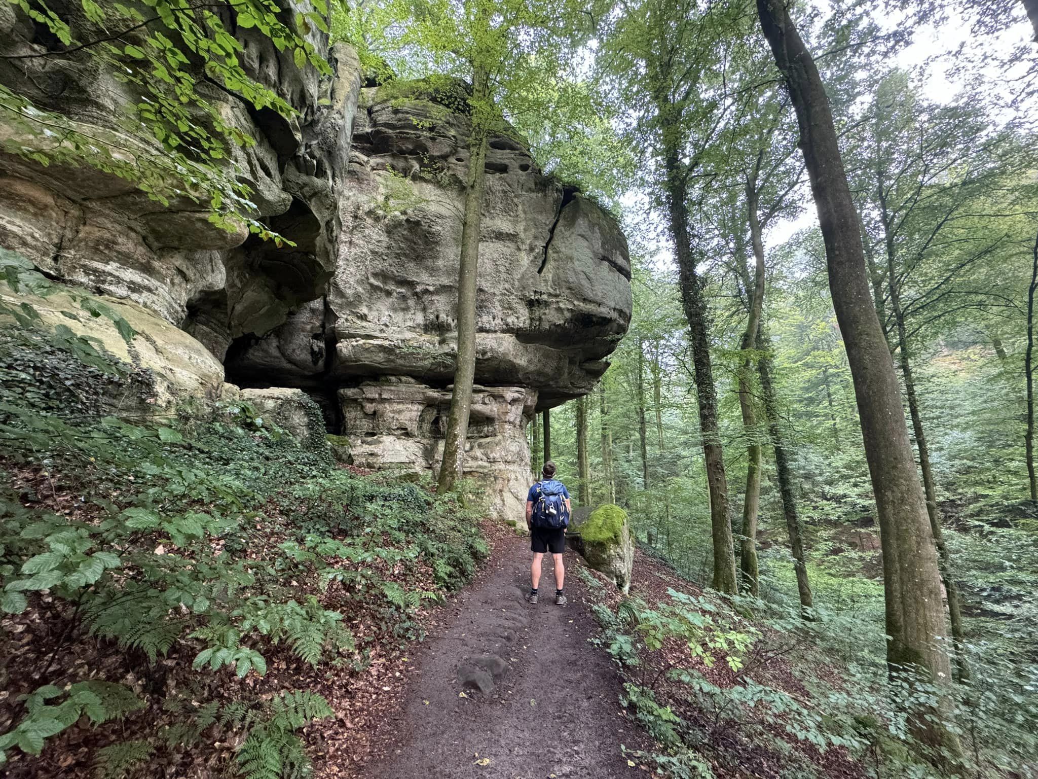 Mullerthal Trail day hike scenery