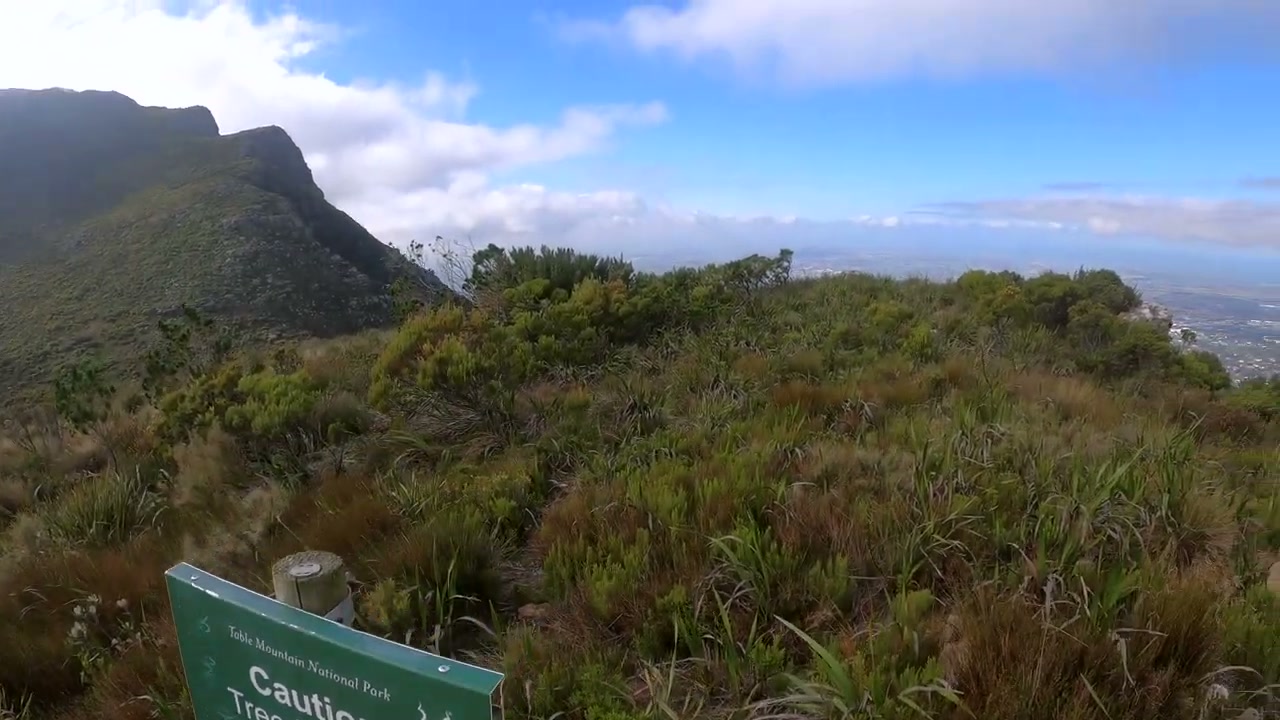 Fynbos and Table Mountain National Park sign on the Platteklip Gorge ascent