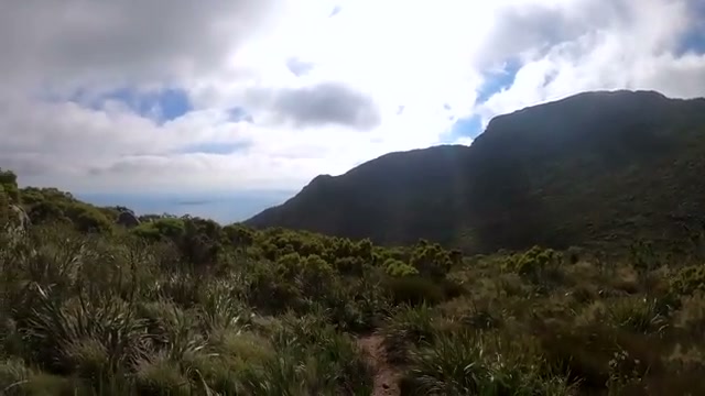 Coastal fynbos trail with Table Mountain and the Atlantic, Cape Town