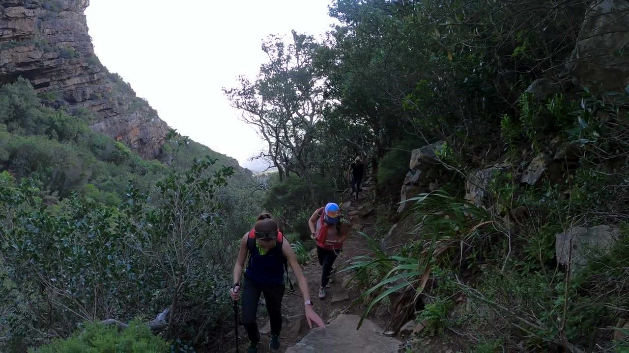 Hikers climbing the steep rocky trail through Woody Ravine, Table Mountain